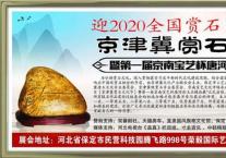 迎2020全国赏石日《京津冀赏石文化节》暨第一届京南宝艺杯唐河彩玉石精品展盛大开幕！